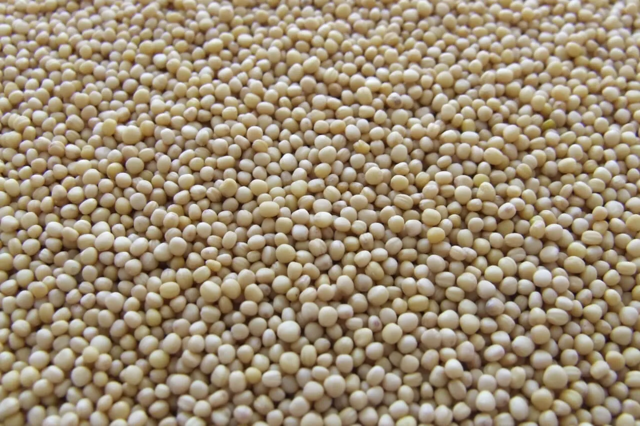Food industry